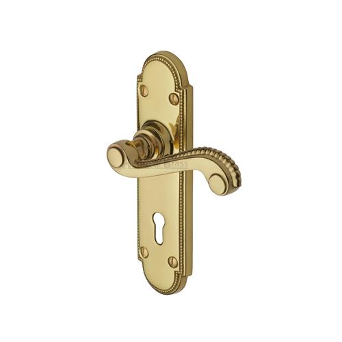 ADAM SCROLL LEVER HANDLE ON BACKPLATE